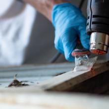 fot. Marcel Jakubowski