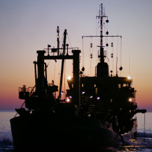 Zdjęcie autorstwa Emilii Kiełtyki