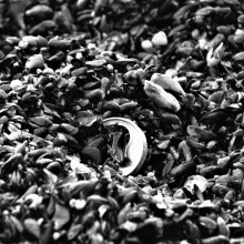 Zdjęcie autorstwa Martyny Góreckiej