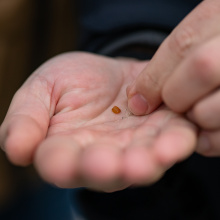 fot. Marcel Jakubowski