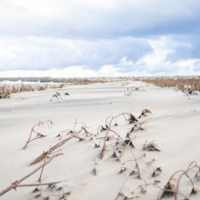 fot. Marcel Jakubowski