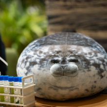 fot. Marcel Jakubowski