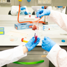 fot. Marcel Jakubowski