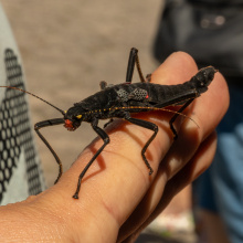 fot. Mateusz Byczkowski