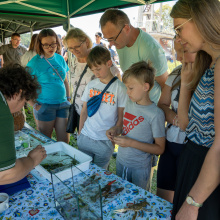 fot. Mateusz Byczkowski