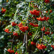 fot. Marcel Jakubowski