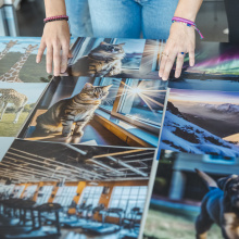 23 Dzień Zrównoważonego Rozwoju UG 2024 - fot. Alan Stocki