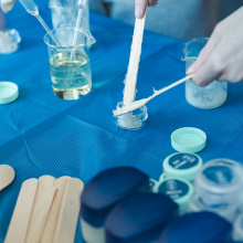 29 Dzień Zrównoważonego Rozwoju UG 2024 - fot. Alan Stocki