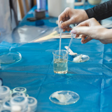 34 Dzień Zrównoważonego Rozwoju UG 2024 - fot. Alan Stocki