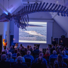 fot. Robert Wieczorek