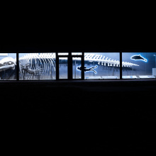 fot. Robert Wieczorek