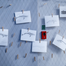 fot. Robert Wieczorek