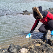 fot. Krystyna Kozioł