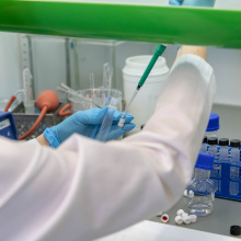 fot. Bartłomiej Jętczak