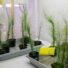 fot. Bartłomiej Jętczak