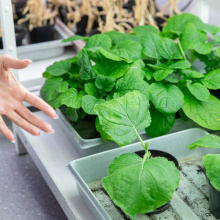 fot. Bartłomiej Jętczak