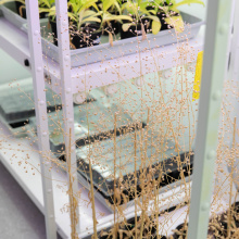 fot. Bartłomiej Jętczak