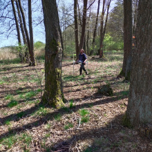 Fot. 5 - badania geofizyczne z wykorzystaniem magnetometru na grodzisku w Grabczynie