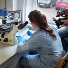 Photo © European Union 2025 