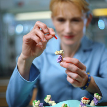 Photo © European Union 2025 