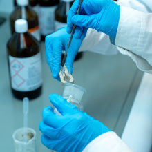 Zdolni z Pomorza; fot. M. Byczkowski