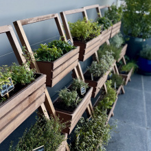 „Przystań w BUG”, fot. Ł. Dziubanik