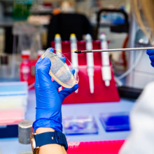 Zdjęcia z laboratorium