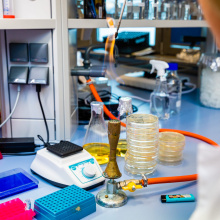 Zdjęcia z laboratorium