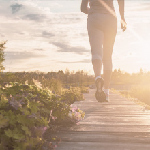 Źródło: materiały własne SB WELL