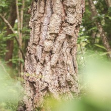 Źródło: materiały własne SB WELL