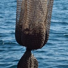 Fot. Marcel Jakubowski/ZP