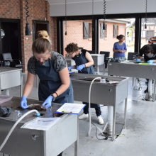 Nauka anatomii ryb w trakcie letniego kursu dla studentów „Ichtiologia morza” 