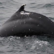 fot. Hanna Wegnerowska i Magdalena Socha
