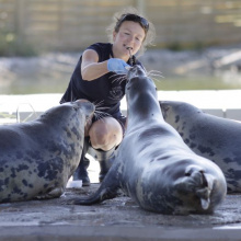 Stacja Morska w Helu