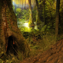 Las bursztynowy.  Fot. Michał Narloch