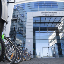 Collection of bicycles