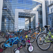 Collection of bicycles