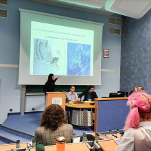 fot. Schopenhaueralia