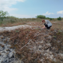 Siedliska wydmowe; fot. LIFE for Dunes PL