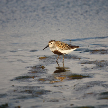 Photos by: Prof. Dr. Włodzimierz Meissner