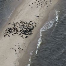 Photos by: Prof. Dr. Włodzimierz Meissner