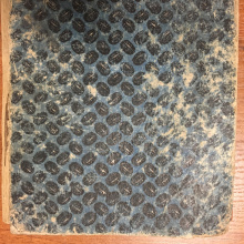 Fot. dr Radosław Kubus