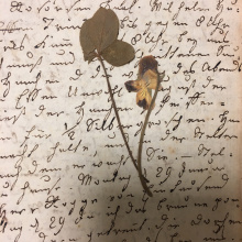 Fot. dr Radosław Kubus