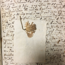 Fot. dr Radosław Kubus