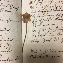 Fot. dr Radosław Kubus