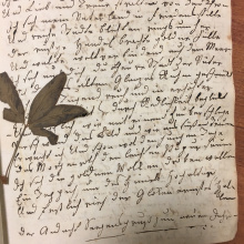 Fot. dr Radosław Kubus