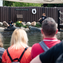 fot. Marcel Jakubowski