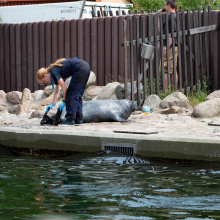 fot. Marcel Jakubowski