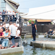 fot. Marcel Jakubowski