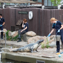 fot. Marcel Jakubowski